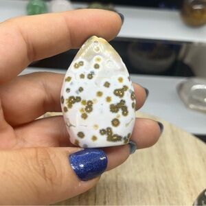 Obicular Ocean Jasper Teardrop